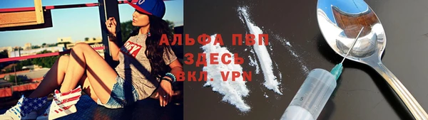 гашик Заволжск
