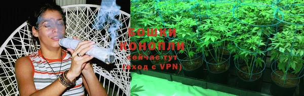 ГАЛЛЮЦИНОГЕННЫЕ ГРИБЫ Заволжье