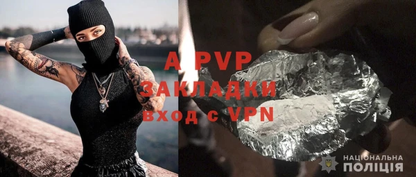 ГАЛЛЮЦИНОГЕННЫЕ ГРИБЫ Заволжье