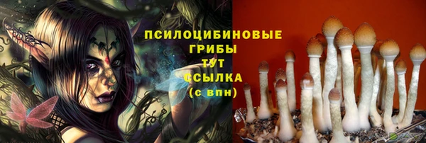 ГАЛЛЮЦИНОГЕННЫЕ ГРИБЫ Заволжье