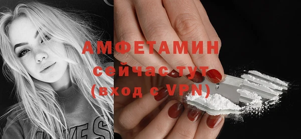 ГАЛЛЮЦИНОГЕННЫЕ ГРИБЫ Заволжье