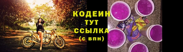 ГАЛЛЮЦИНОГЕННЫЕ ГРИБЫ Заволжье