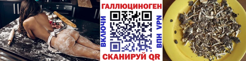 Купить  Зея  Галлюциногенные грибы GOLDEN TEACHER 