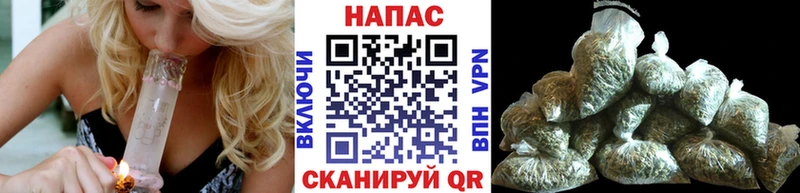 Шишки марихуана марихуана  Купить закладки  Зея 